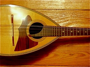 Mandolin